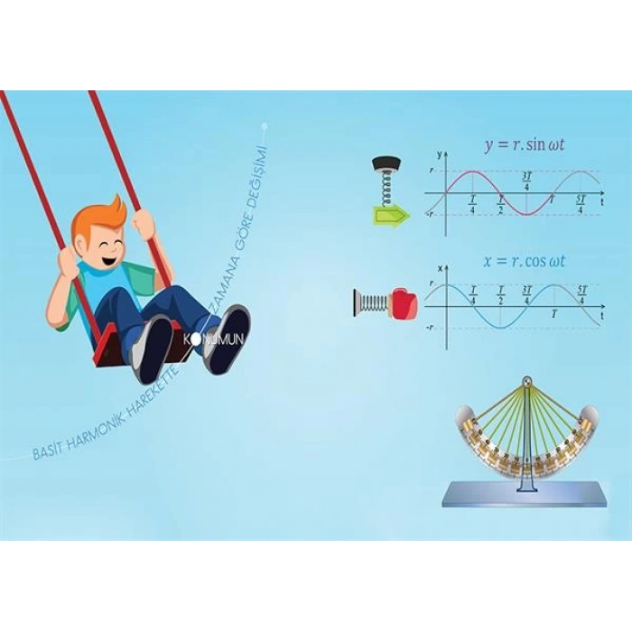 Basit Harmonik Harekette Konumun Zamana Göre Değişimi P FİZ 13