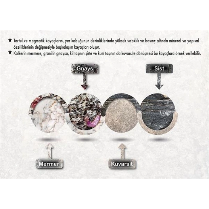 Başkalaşım (Metamorfik) Kayaçları P COG 53