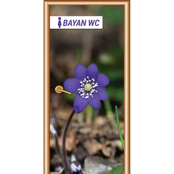 Bay-Bayan WC Kapı Giydirme 06