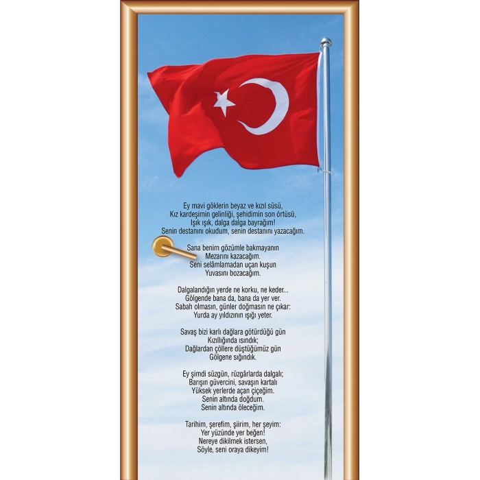 Bayrak Kapı Giydirme 07