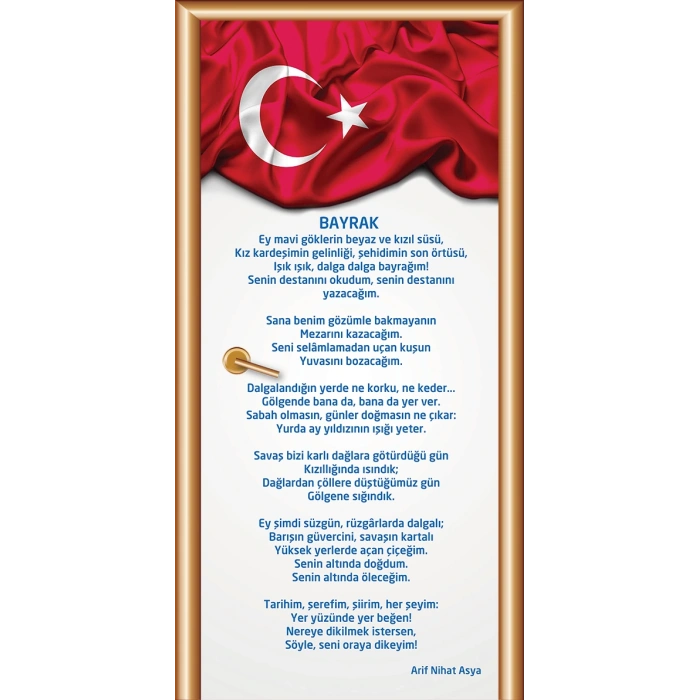 Bayrak Kapı Giydirme 13