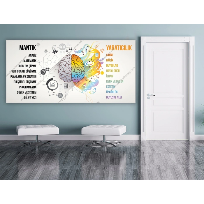 Beyin, Sanat ve Zeka DG AZA 02