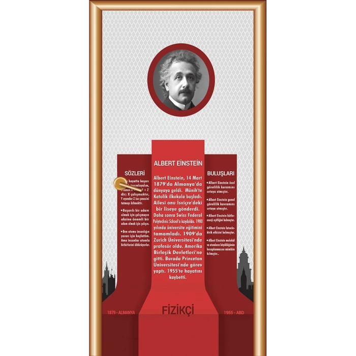 Bilim İnsanları Albert Einstein Kapı Giydirme 19