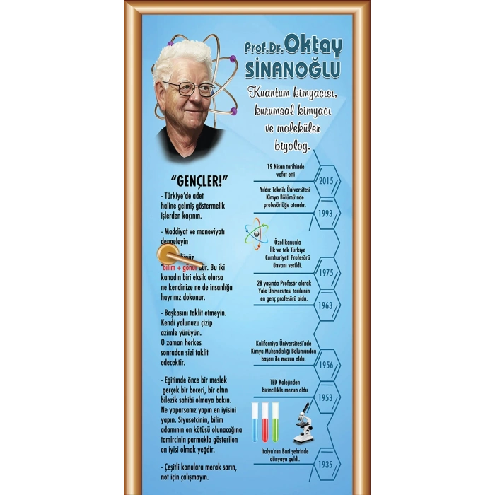 Bilim İnsanları Oktay Sinanoğlu Kapı Giydirme 96