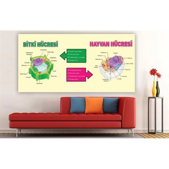 Bitki Hücresi Duvar Giydirme 05