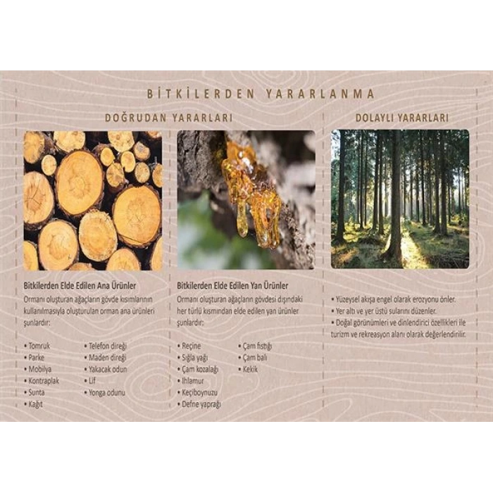 Bitkilerden Yararlanma P COG 21