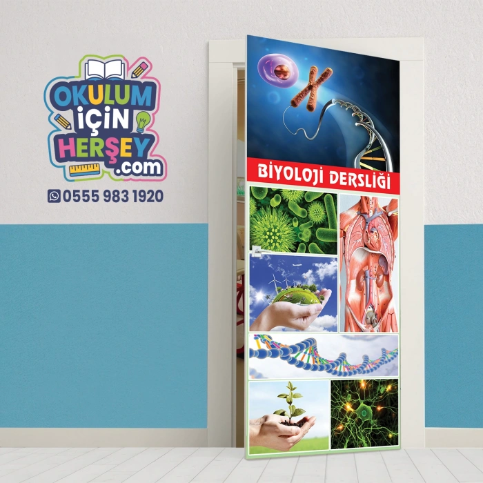 Biyoloji Dersliği Kapı Giydirme 14