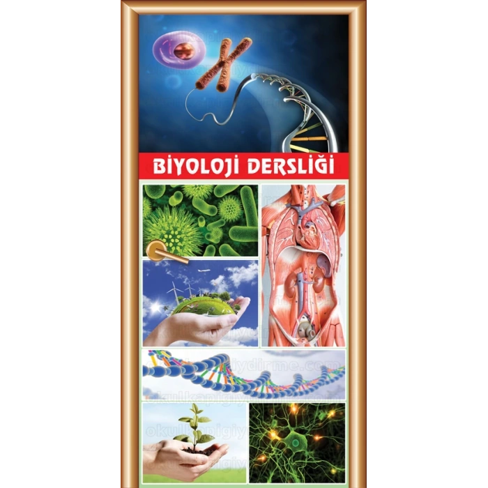 Biyoloji Dersliği Kapı Giydirme 14