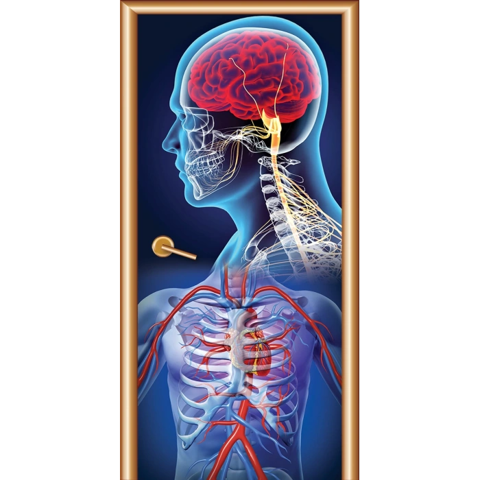 Biyoloji Kapı Giydirme 18