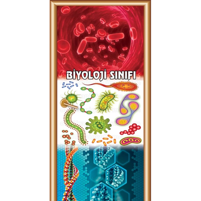 Biyoloji Kapı Giydirme 20