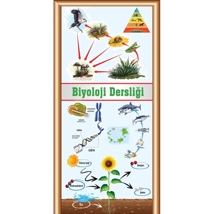 Biyoloji Kapı Giydirme 24