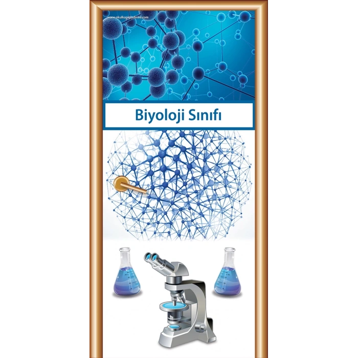 Biyoloji Sınıfı Kapı Giydirme 01