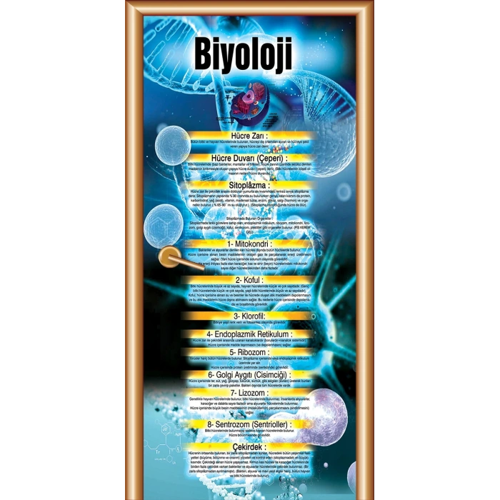 Biyoloji Sınıfı Kapı Giydirme 08