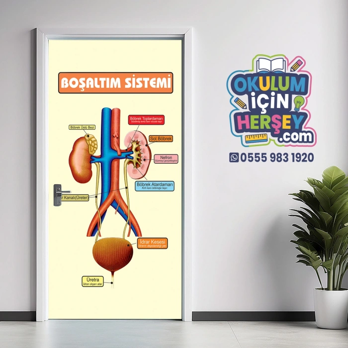 Boşaltım Sistemi Kapı Giydirme 16