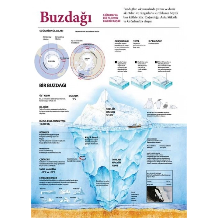 Buzdağı P COG 02