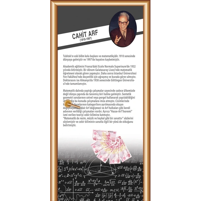 Cahit Arf Bilim İnsanları Kapı Giydirme 73