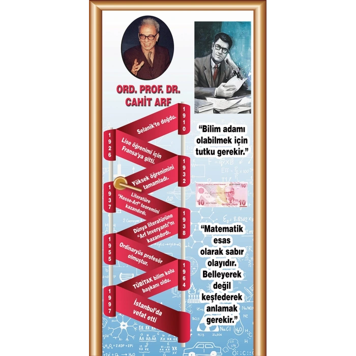 Cahit Arf Bilim İnsanları Kapı Giydirme 81