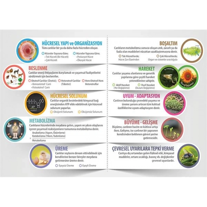 Canlıların Ortak Özellikleri P BİY 62