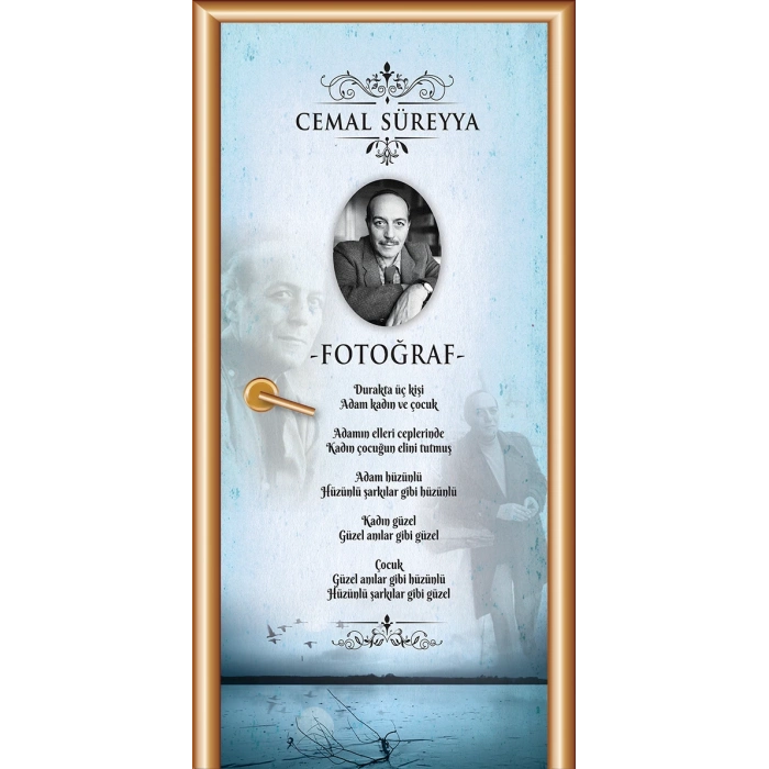 Cemal Süreyya Kapı Giydirme 56