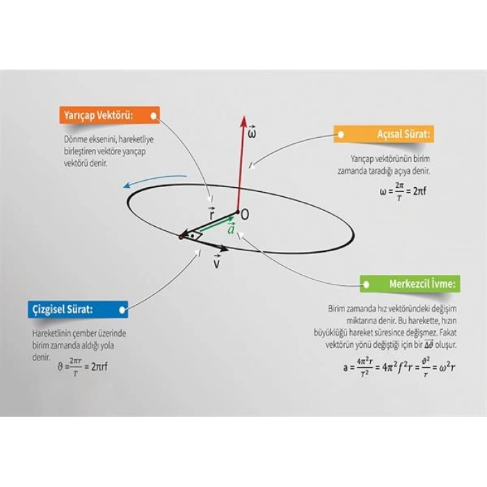 Çembersel Harekette Temel Kavramlar P FİZ 29