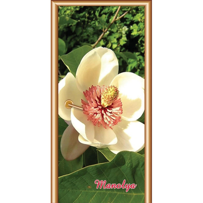 Çiçek Kapı Giydirme 01