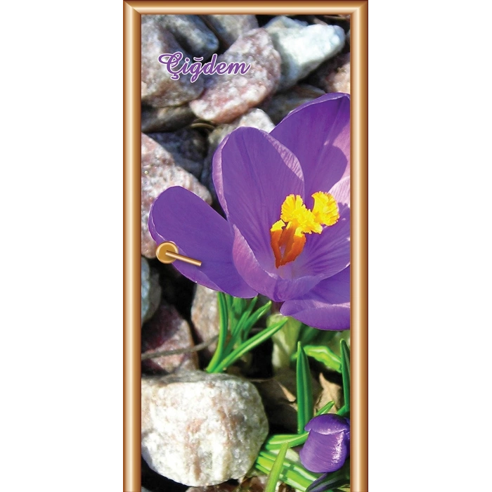 Çiçek Kapı Giydirme 07