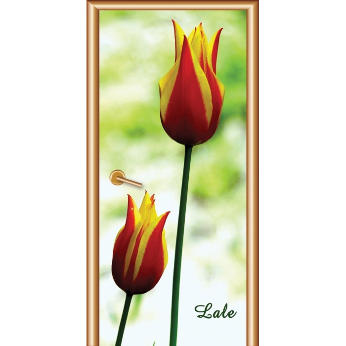 Çiçek Kapı Giydirme 10