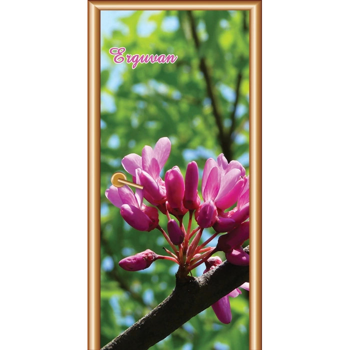 Çiçek Kapı Giydirme 11