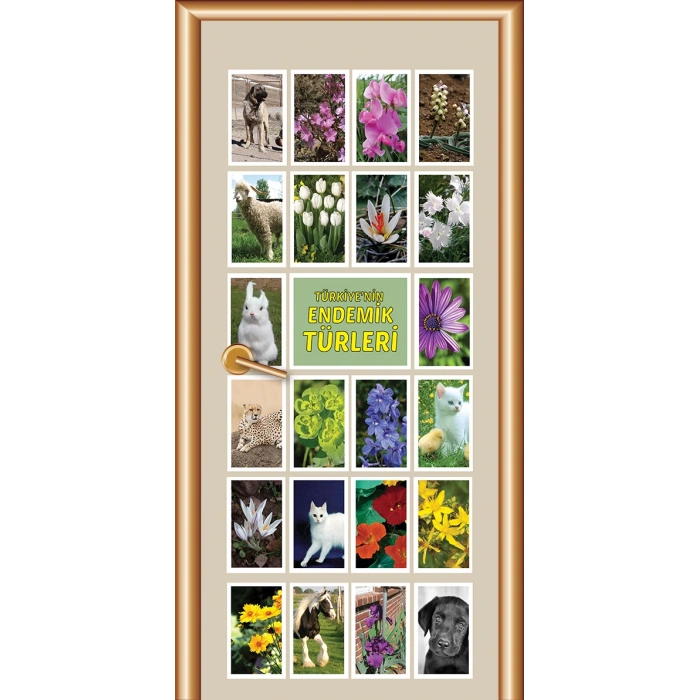 Coğrafya Sınıfı Kapı Giydirme 05