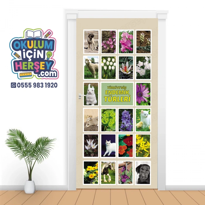 Coğrafya Sınıfı Kapı Giydirme 05