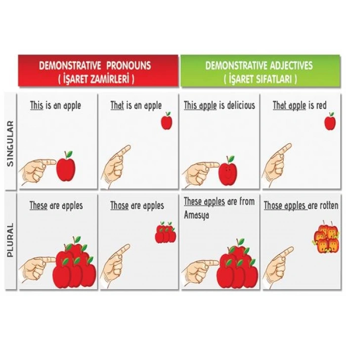 Demonstrative Pronouns - Demonsrative Adjectives P İNG 12