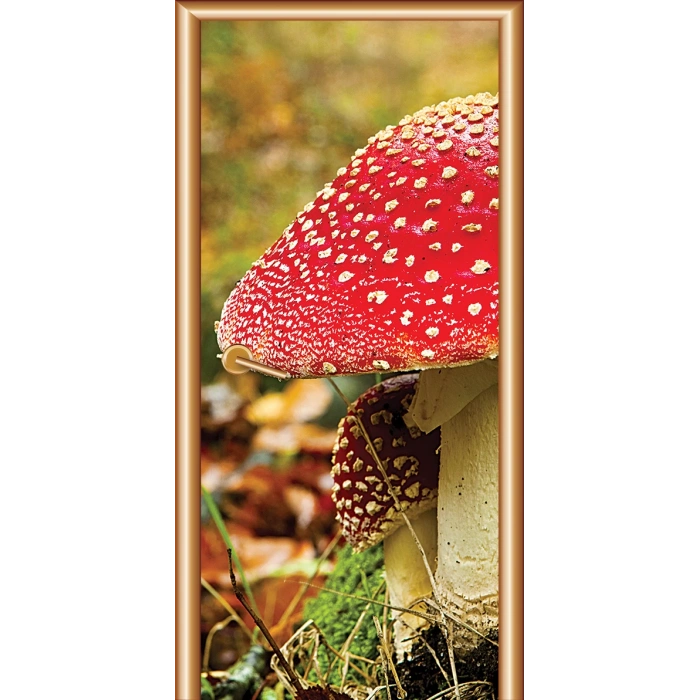 Dinlenme Odası Kapı Giydirme 08