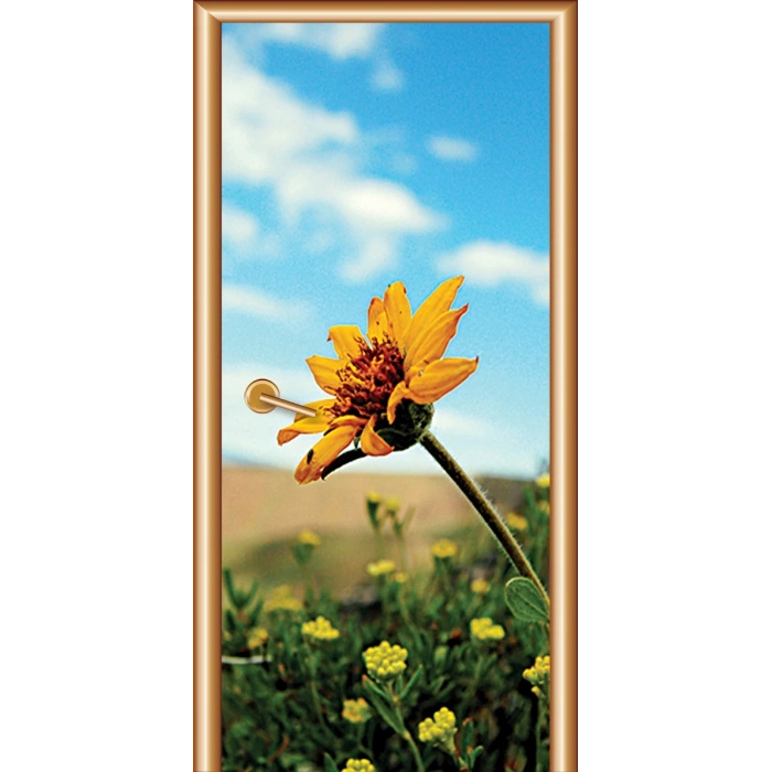 Dinlenme Odası Kapı Giydirme 10