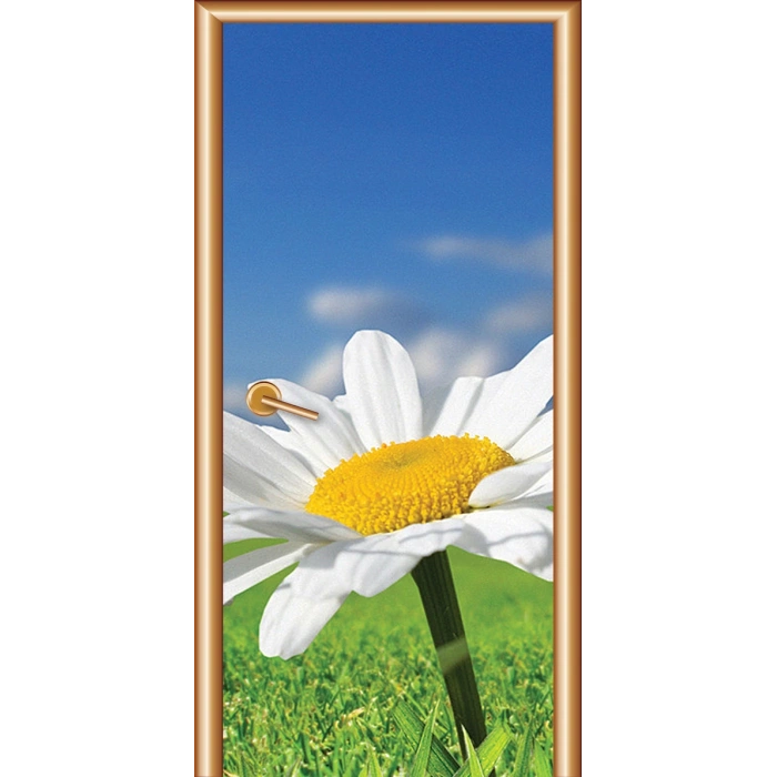 Dinlenme Odası Kapı Giydirme 14