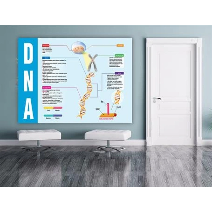 DNA Duvar Giydirme 16