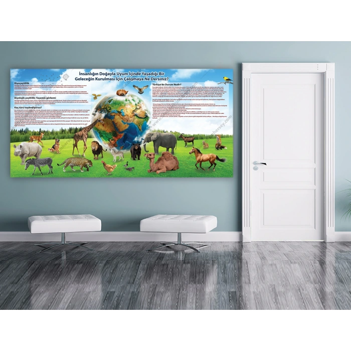 Doğa ve Hayvanlar DG BİY 29