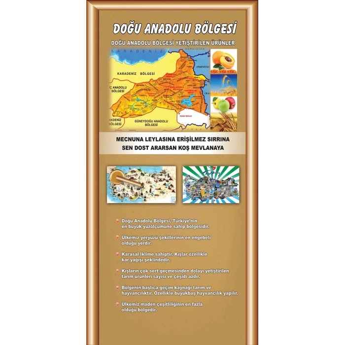 Doğu Anadolu Bölgesi Kapı Giydirme 19