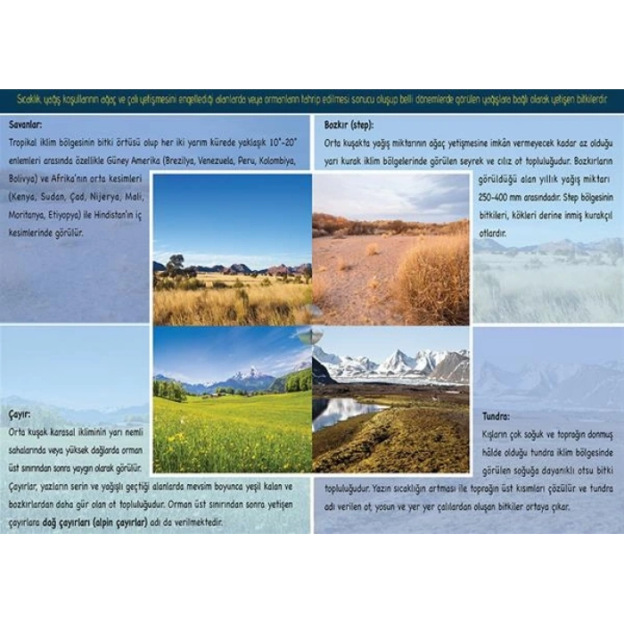 Dünyadaki Bitkiler (Ot Formasyonu) P COG 37