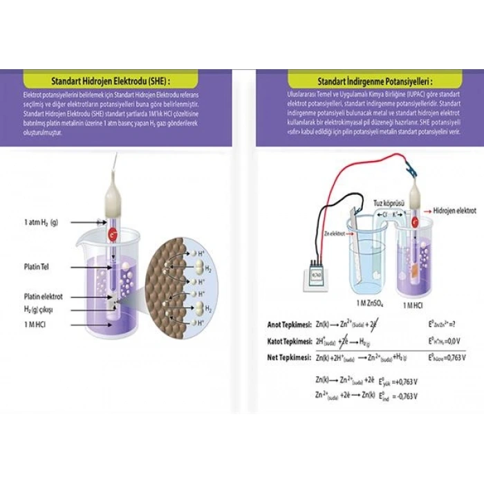 Elektrot Potansiyelleri P KİM 04