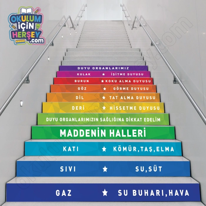 Fen Bilimleri MB 002