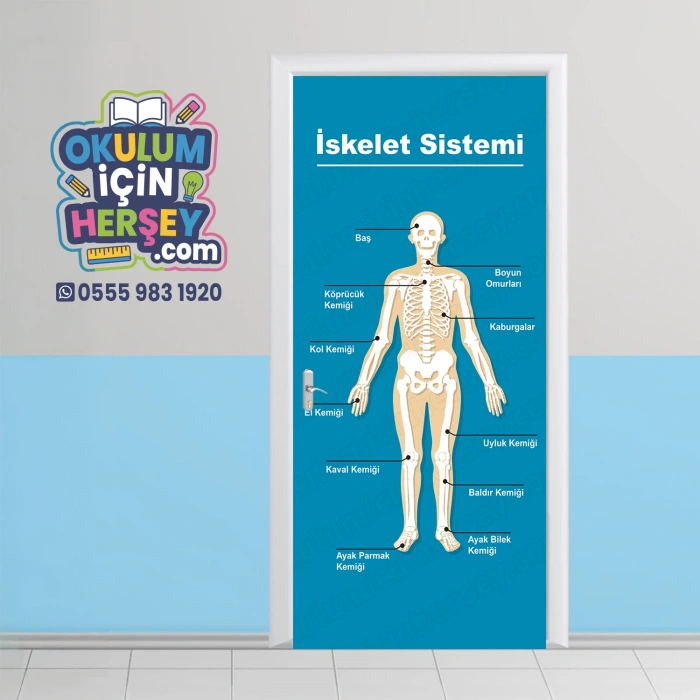 Fen Sınıfı Kapı Giydirme 12