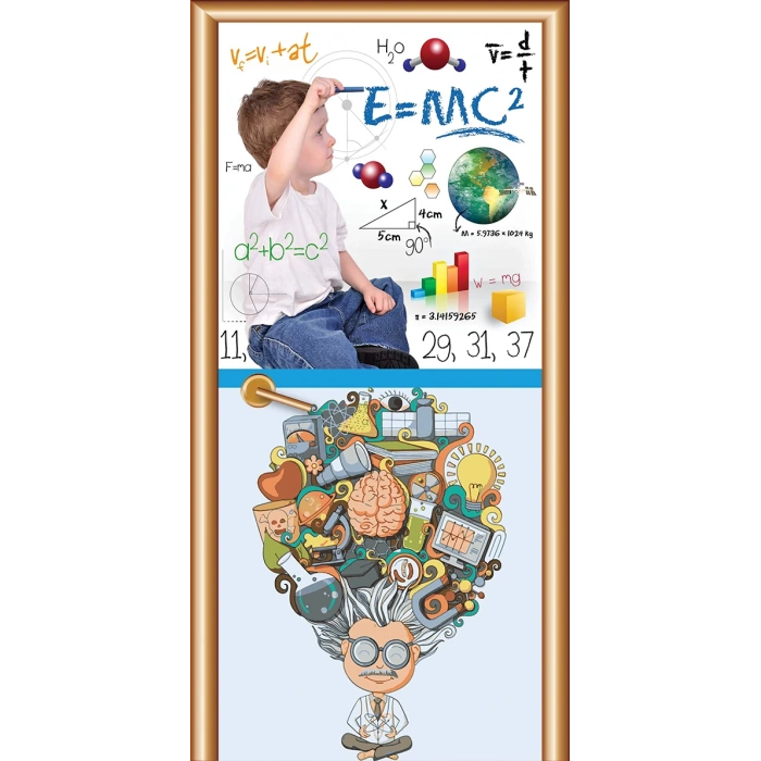 Fen Sınıfı Kapı Giydirme 24