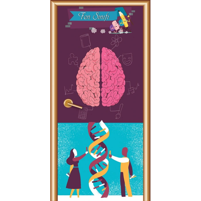 Fen Sınıfı Kapı Giydirme 44