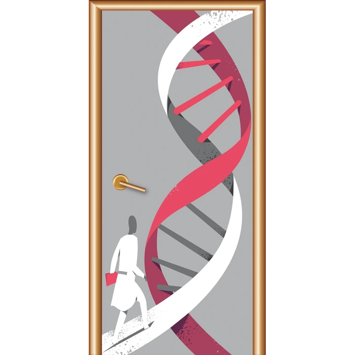Fen Sınıfı Kapı Giydirme 47