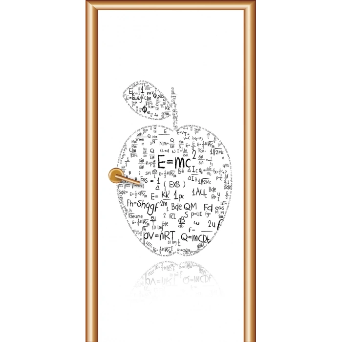 Fizik Sınıfı Kapı Giydirme 02