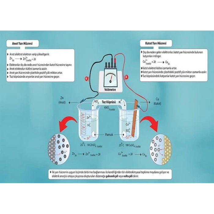 Galvanik Pil (Volta Pili) P KİM 09
