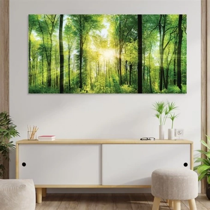 Gün Işığı üzerinde Orman Kanvas Tablo