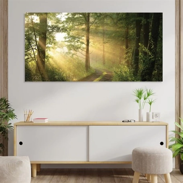 Gün Işığında Orman KanvasTablo