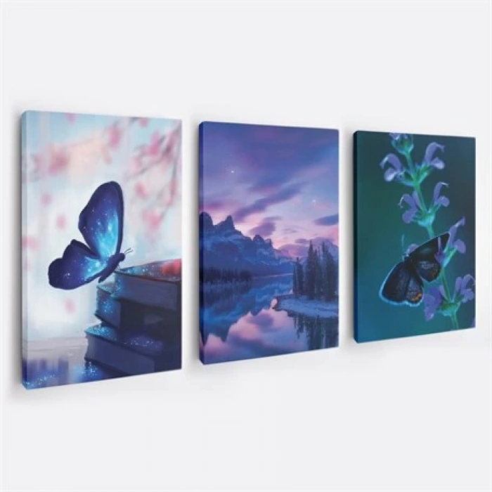 Güzel Kelebek Resimli 3lü Duvar Tablo Seti