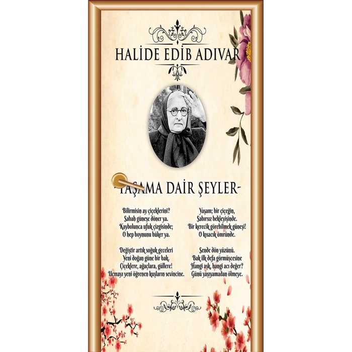 Halide Edip Adıvar Kapı Giydirme 94